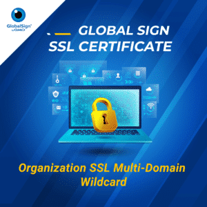 Organization SSL Multi-Domain Wildcard