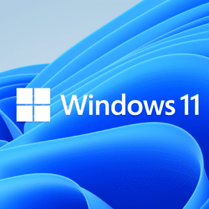 Windows 11 Pro 64 Bit (OEM)