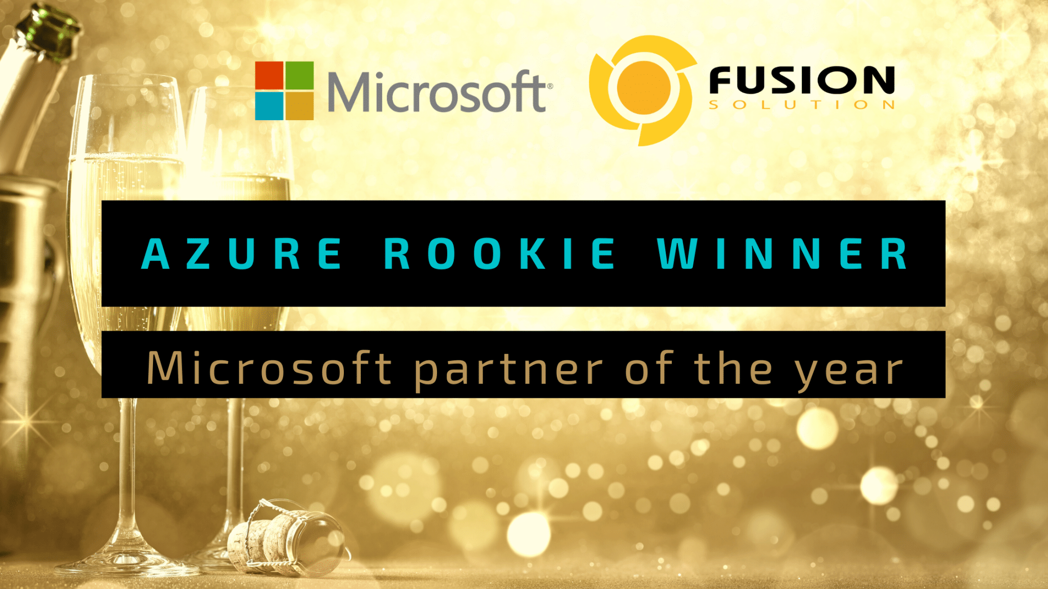 Microsoft partner of the year winner