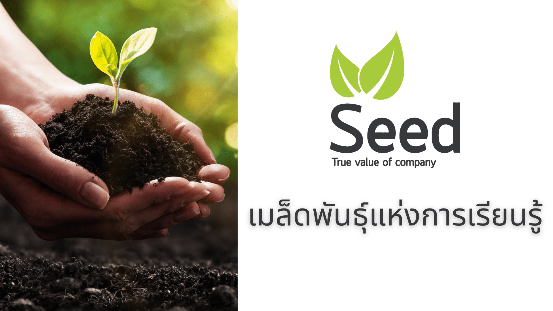 Seed เมล็ดพันธุ์แห่งการเรียนรู้ในองค์กร