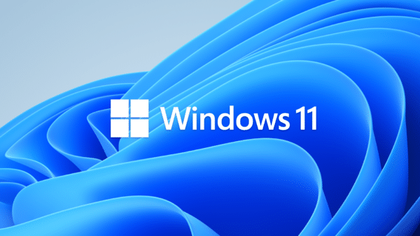 Windows 11 Pro 64 Bit (FPP) HAV-00163
